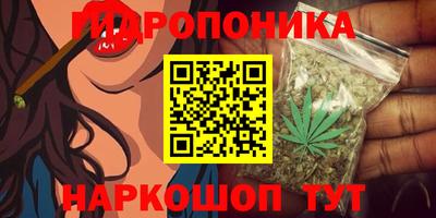 СК Конаково