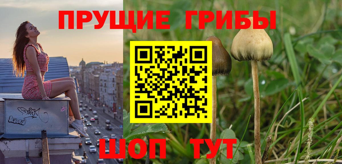 Галлюциногенные грибы Magic Shrooms  Псилоцибиновые грибы Psilocybine cubensis  Вход с VPN  Елабуга 