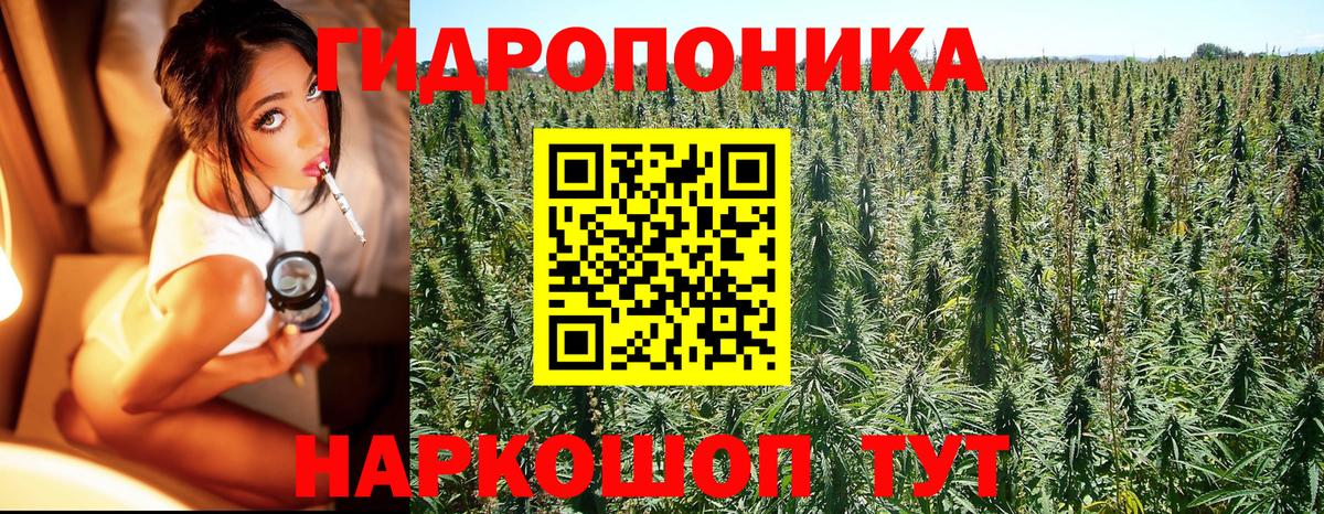 Бошки Шишки AK-47  Бошки Шишки Bruce Banner  Марихуана семена  Елабуга  МАРИХУАНА тримм  Вход с VPN 